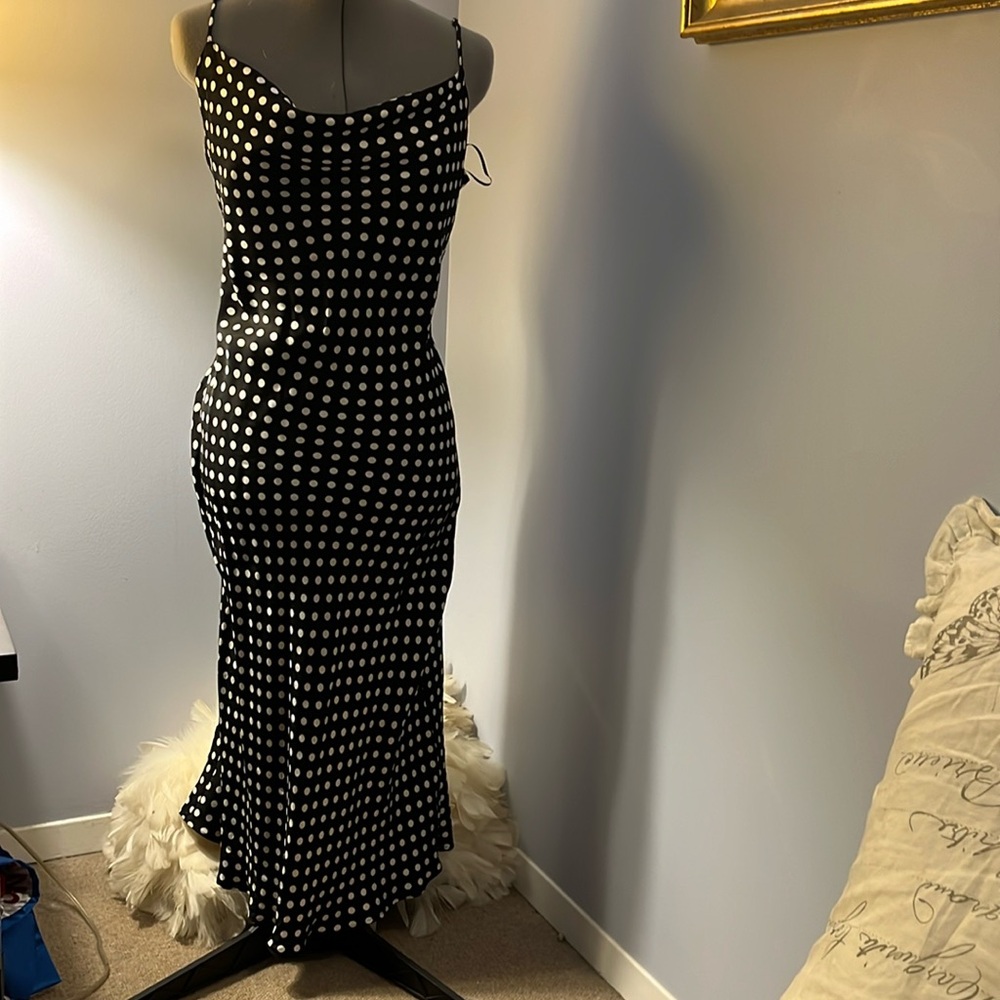 Zara dress